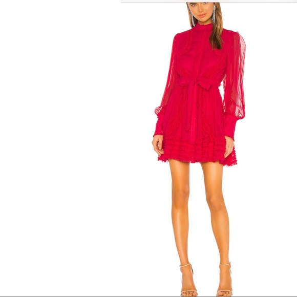 Dresses & Skirts - Alexis Olinka Silk Dress